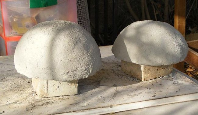 Ciupercă de ciment gata
