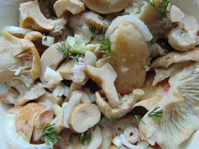 houby: použití při vaření