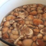 Cam mushrooms are boiled