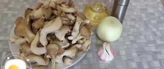 rețete de gătit cu ciuperci de stridii