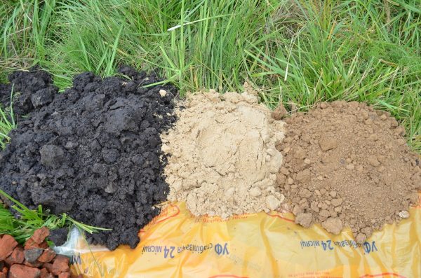 The soil is mixed with free-flowing mixtures to fertilize plants