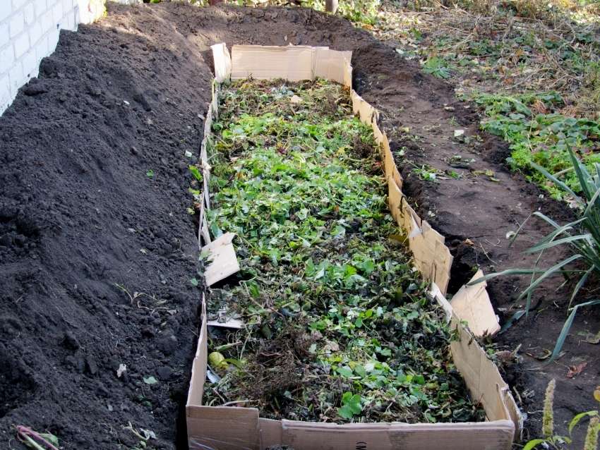 do-it-yourself garden beds in the country