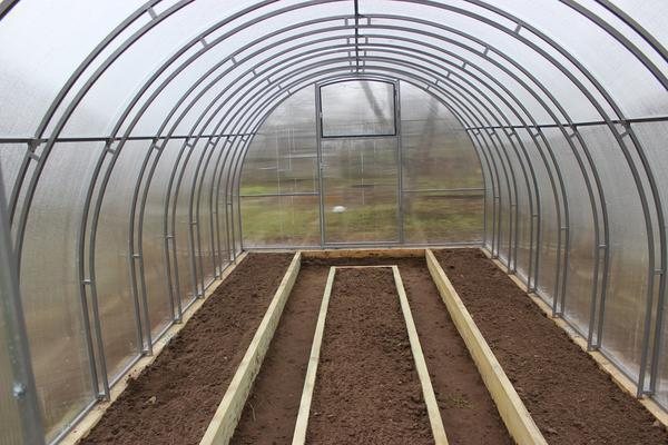 Greenhouse beds can be made with wooden planks