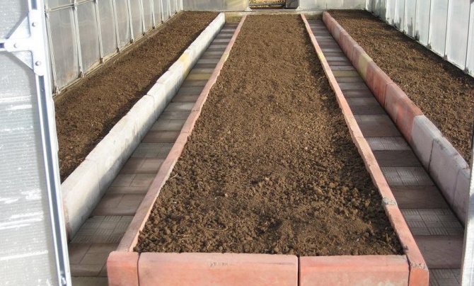 Greenhouse beds