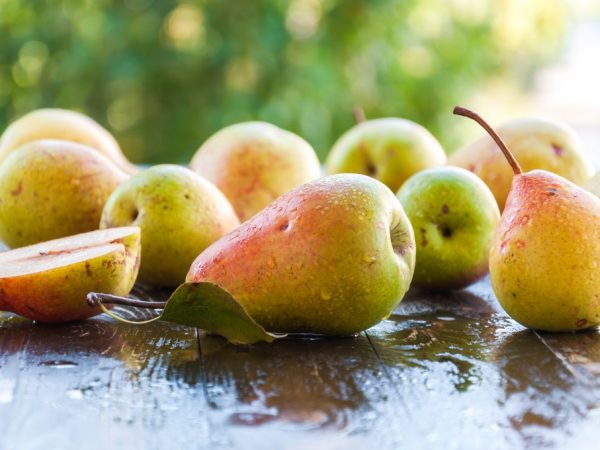 Characteristics of autumn pears