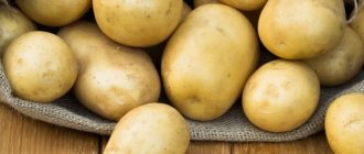 Характеристики на картофите Скарб