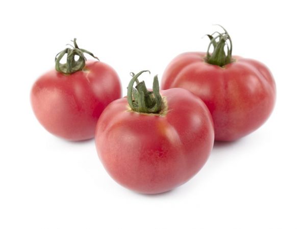 Kännetecken för olika tomater Rosa mirakel