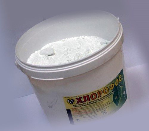 Chlorophos se používá k dezinfekci drůbežáren