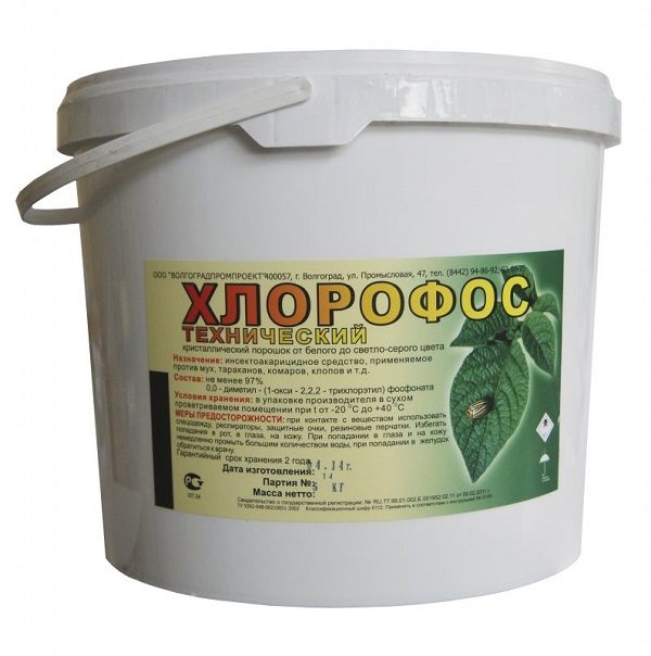 Klorofos är ett läkemedel som hjälper till att bekämpa bedbugs