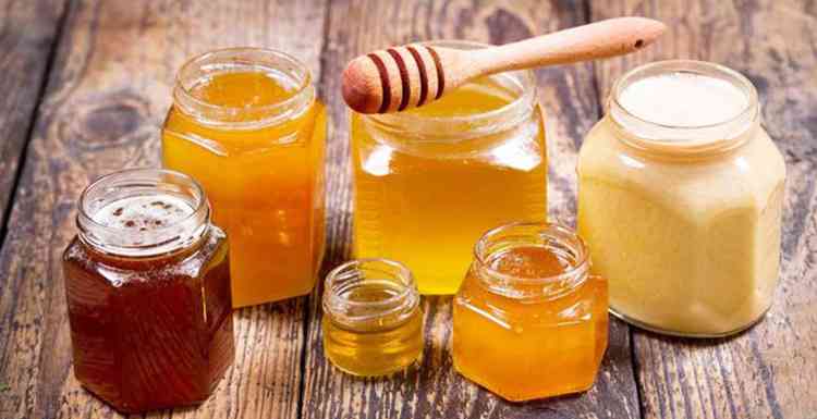 Corydalis und die Herstellung von Honig daraus
