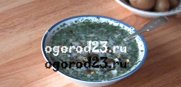Cold sorrel soup