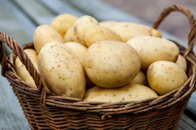 Potatis är en bra källa till vitaminer.