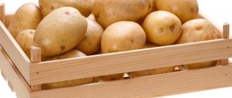 אחסון תפוחי אדמה בדירה ובבית