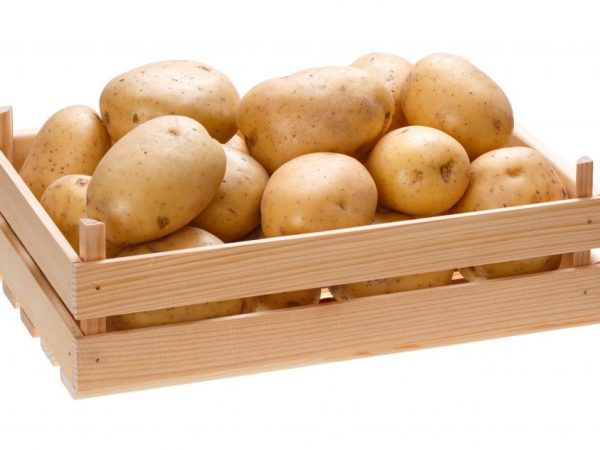 Съхранение на картофи в апартамента и в къщата