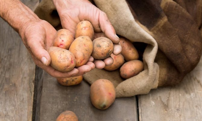 Съхранение на картофи