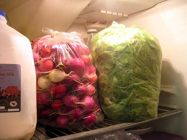 Съхранение на репички в хладилник