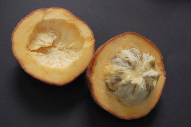Persimmon multi-colored (also Persimmon Blanco or Mabolo)