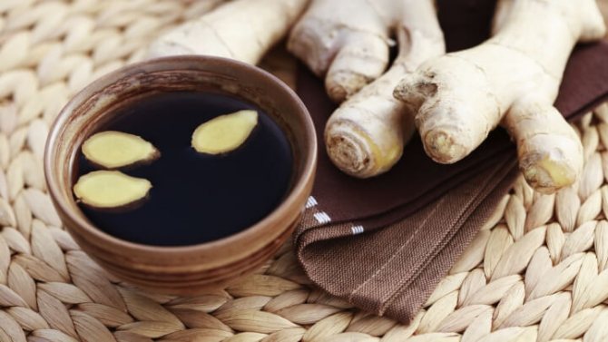 ginger root contraindications