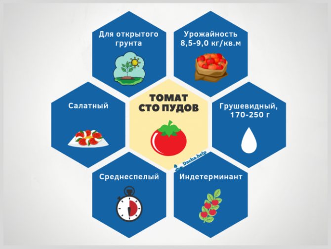 Infografik pelbagai tomato Seratus paun menurut Daftar Negeri