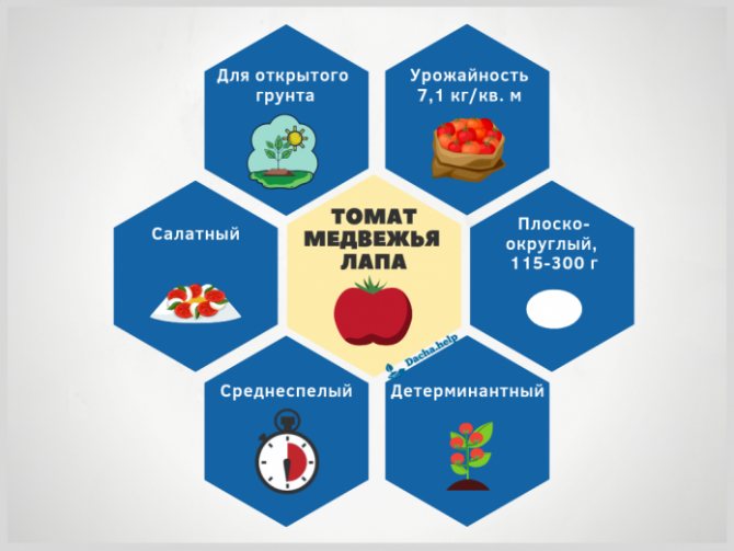 Infographics tomato bear paw