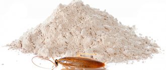 Инсектицидните прахове продължават да бъдат едно от най-популярните лекарства за хлебарки днес - ще говорим за такива лекарства по-нататък и ще говорим по-подробно ...
