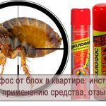 Instructions for using Dichlorvos from fleas in an apartment, reviews