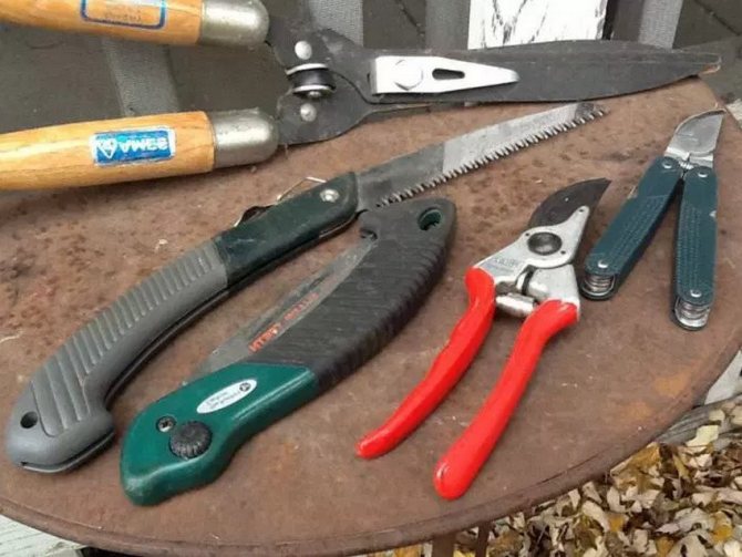 Инструменти за подрязване на храсти