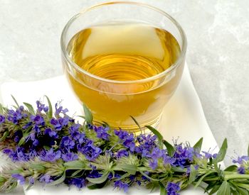 The use of hyssop for medicinal purposes within the framework of traditional medicine