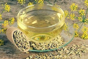 The use of dill for medicinal purposes within the framework of traditional medicine