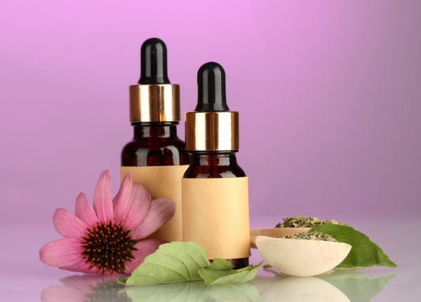 Echinacea is used to prepare medicines to fight infections and inflammations