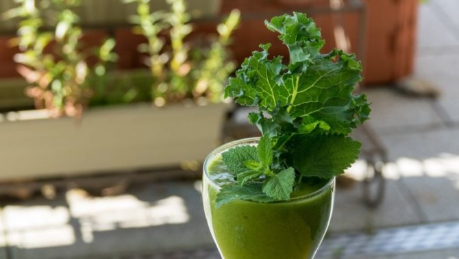 Delicious and healthy smoothies are prepared from kale