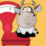 قياس وزن الماشية