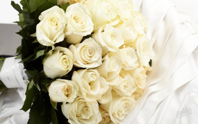 De ce dau trandafiri albi