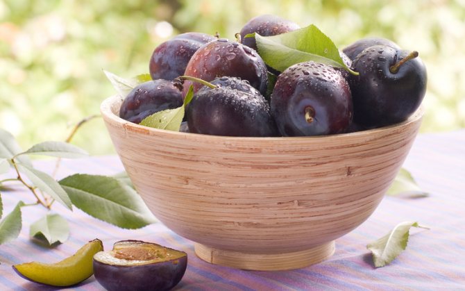 Какво представляват сливовите плодове?