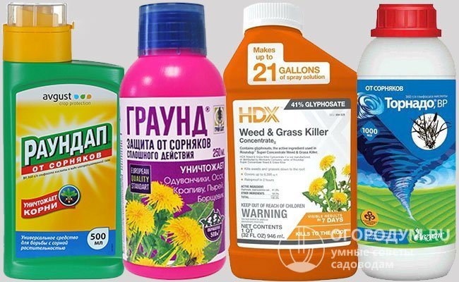 Herbicider som litas av erfarna trädgårdsmästare inkluderar följande läkemedel: Roundup, Killer, Tornado, etc.