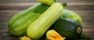 Zucchini differ in different shapes of fruits and, with the right approach, give a bountiful harvest