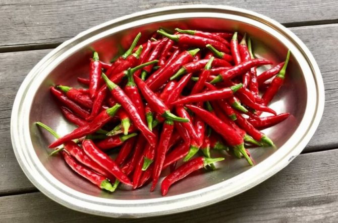 Cayenne pepper Variety characteristics