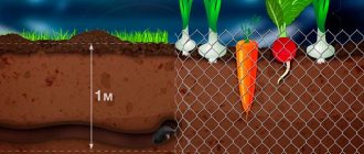 Как да се справим със землекоп в градината? как да се отървете от него в страната и лятната вила?