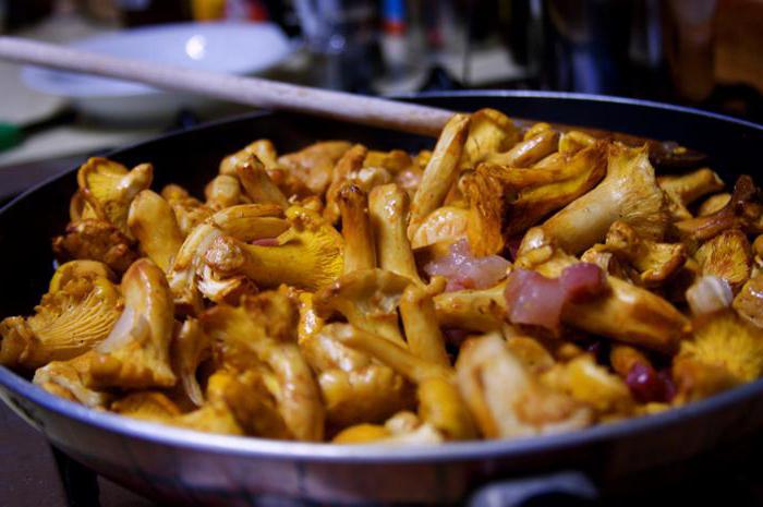 how to cook chanterelles for the winter freeze