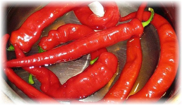 Hur man lagrar paprika hemma