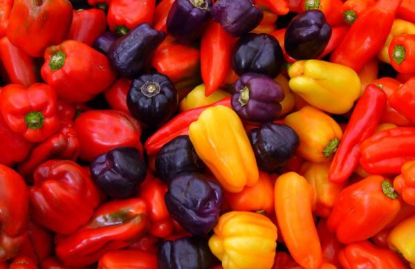 Paano mag-imbak ng mga peppers sa bahay sa bahay