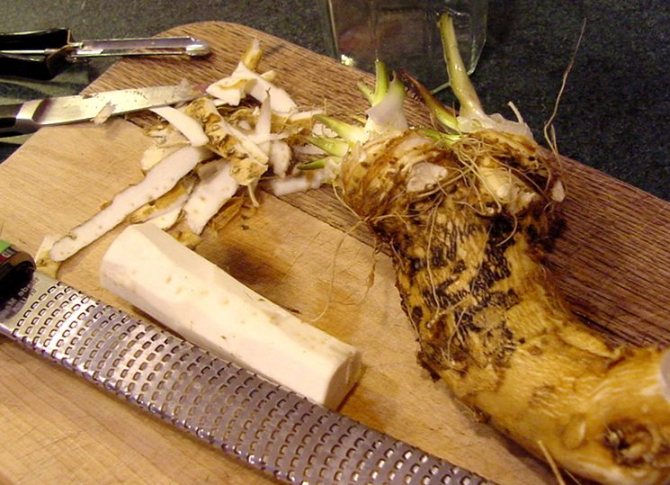 Cara menyimpan lobak yang digulung. Cara menjimatkan lobak untuk musim sejuk Apakah kaedah penjimatan yang berkesan