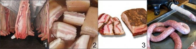 Cum se păstrează carnea de porc