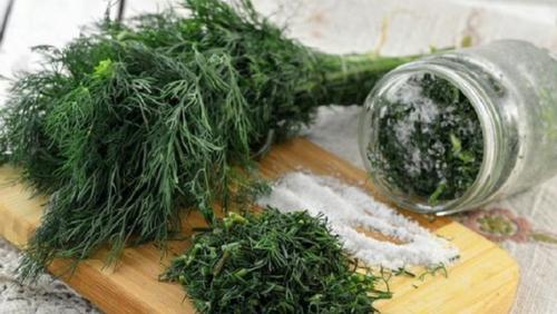 How to store dill. 5 ways to keep dill fresh and flavorful