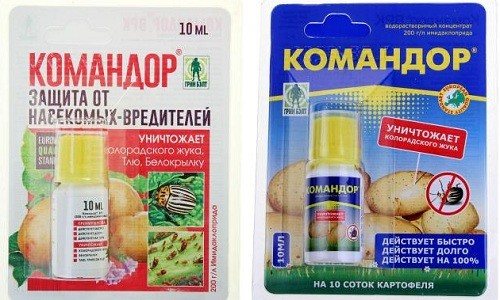 Verwendung des "Commander" -Hilfsmittels für den Kartoffelkäfer, Gebrauchsanweisung, Beschreibung der Wirkung des Arzneimittels