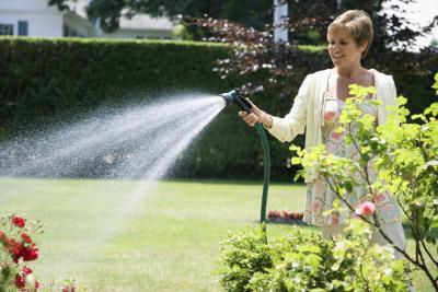 jak se zbavit molice na zahradě