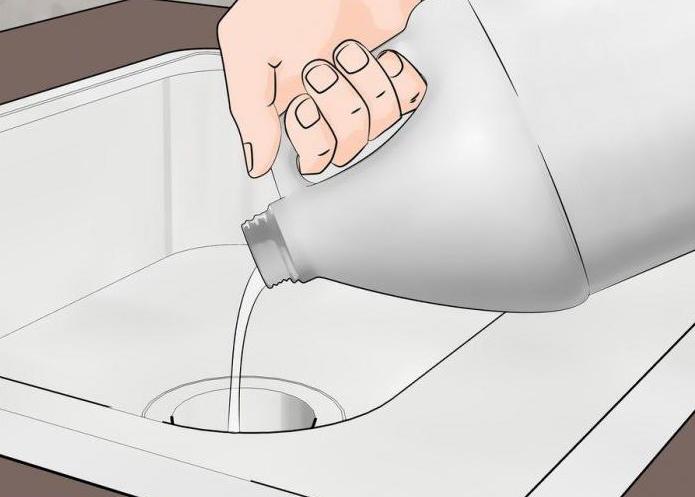 how to get rid of house gnats