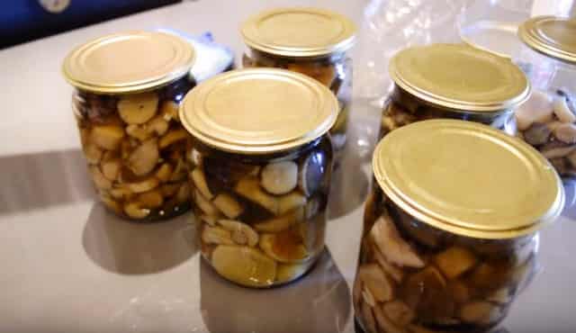 Hur man betar svampar för vintern i burkar - ett enkelt recept