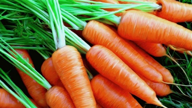 What is the name of the mini carrot variety