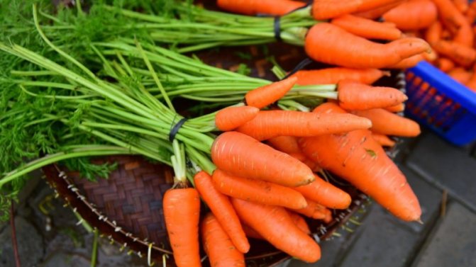 Ano ang pangalan ng mini carrot variety?